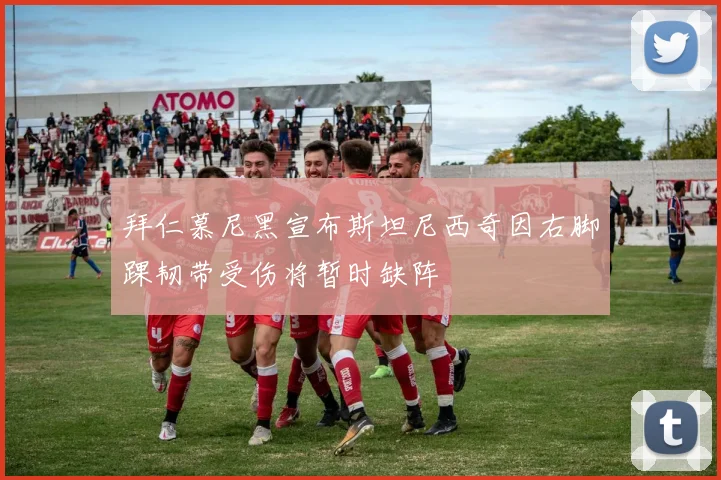 拜仁慕尼黑宣布斯坦尼西奇因右脚踝韧带受伤将暂时缺阵