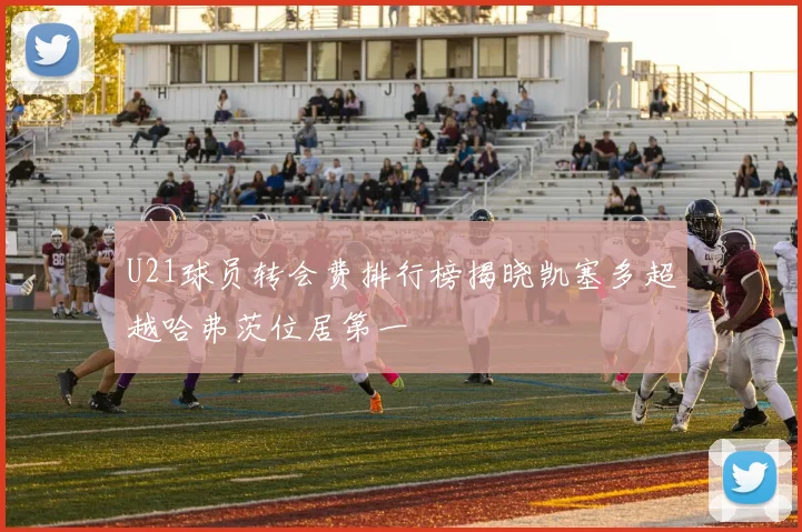 U21球员转会费排行榜揭晓凯塞多超越哈弗茨位居第一